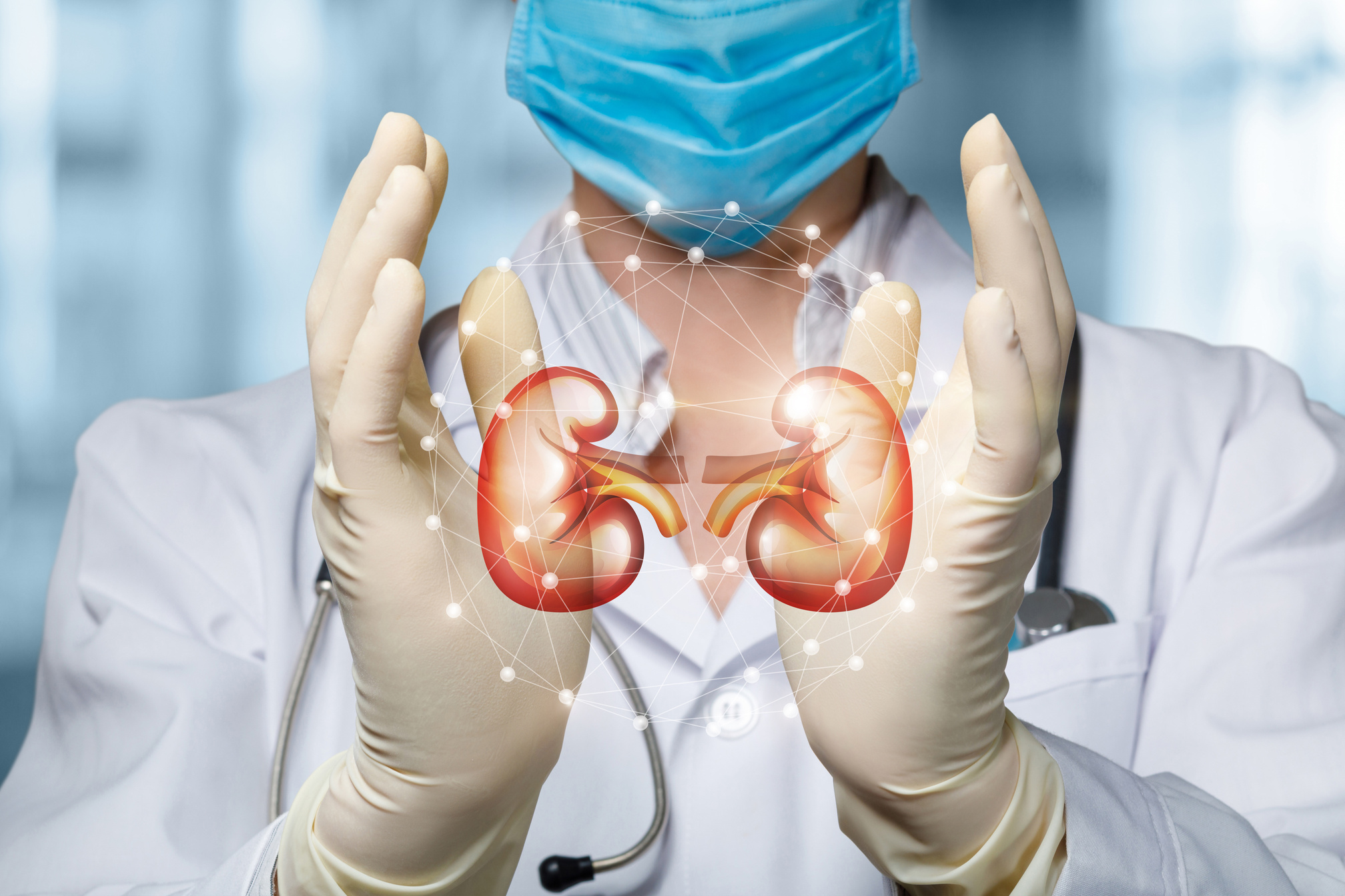 The doctor shows and supports the kidneys .